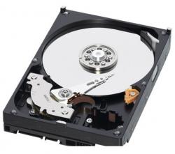 Hard Disk & SSD Server